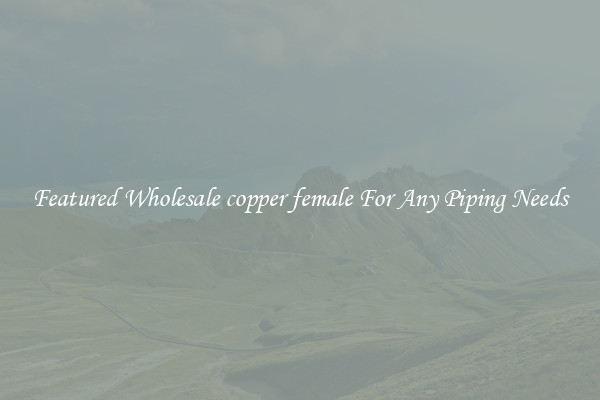 Featured Wholesale copper female For Any Piping Needs