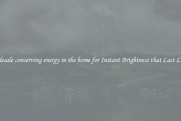 Wholesale conserving energy in the home for Instant Brightness that Last Longer