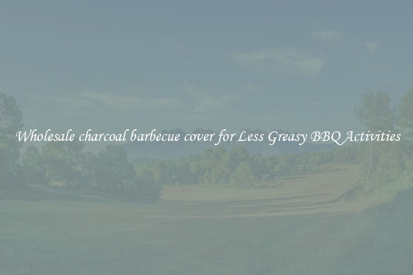 Wholesale charcoal barbecue cover for Less Greasy BBQ Activities