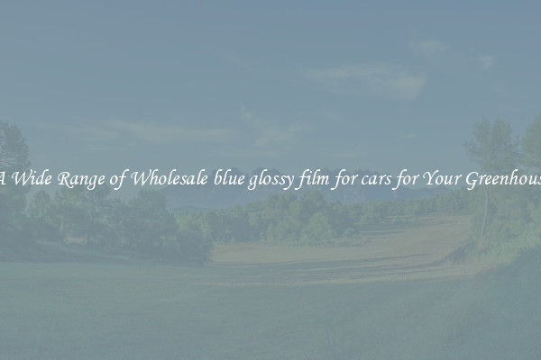 A Wide Range of Wholesale blue glossy film for cars for Your Greenhouse