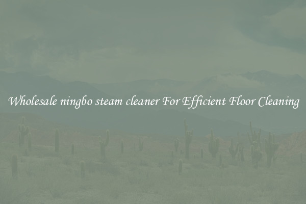 Wholesale ningbo steam cleaner For Efficient Floor Cleaning
