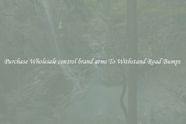 Purchase Wholesale control brand arms To Withstand Road Bumps 