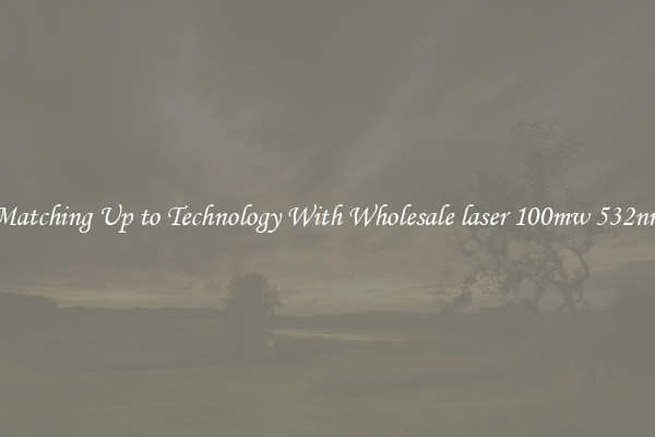 Matching Up to Technology With Wholesale laser 100mw 532nm