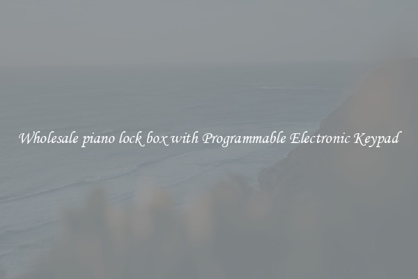 Wholesale piano lock box with Programmable Electronic Keypad 