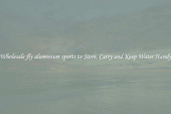 Wholesale fly aluminium sports to Store, Carry and Keep Water Handy
