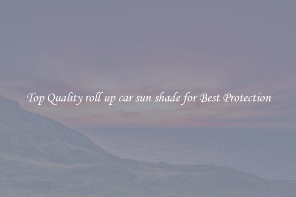 Top Quality roll up car sun shade for Best Protection