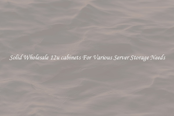 Solid Wholesale 12u cabinets For Various Server Storage Needs