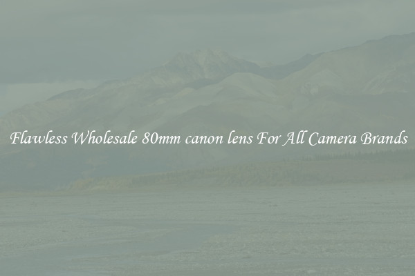 Flawless Wholesale 80mm canon lens For All Camera Brands