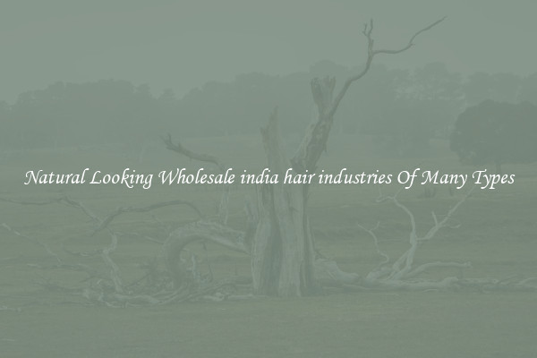 Natural Looking Wholesale india hair industries Of Many Types