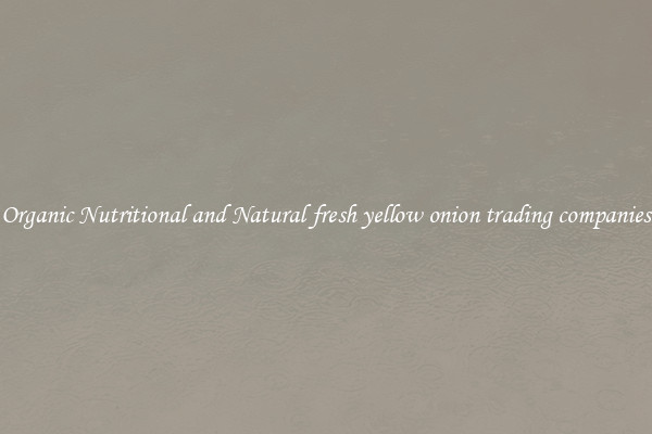 Organic Nutritional and Natural fresh yellow onion trading companies