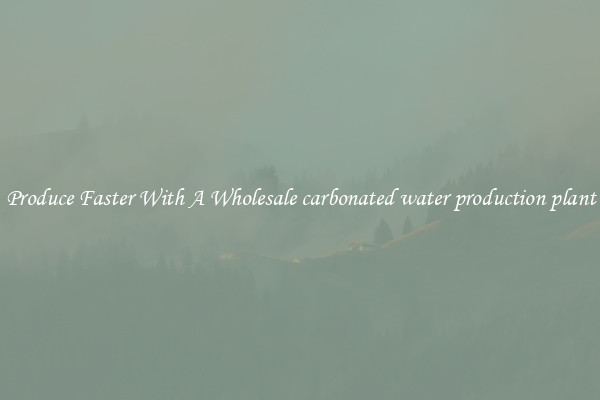 Produce Faster With A Wholesale carbonated water production plant