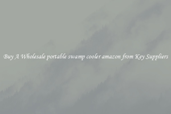 Buy A Wholesale portable swamp cooler amazon from Key Suppliers
