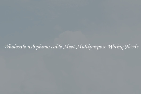 Wholesale usb phono cable Meet Multipurpose Wiring Needs