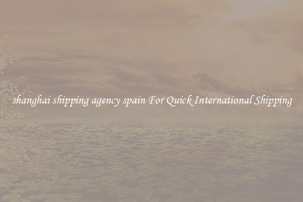 shanghai shipping agency spain For Quick International Shipping