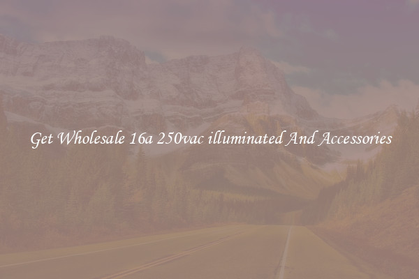 Get Wholesale 16a 250vac illuminated And Accessories