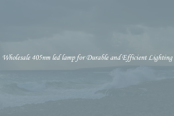 Wholesale 405nm led lamp for Durable and Efficient Lighting