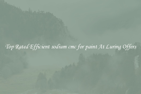 Top Rated Efficient sodium cmc for paint At Luring Offers
