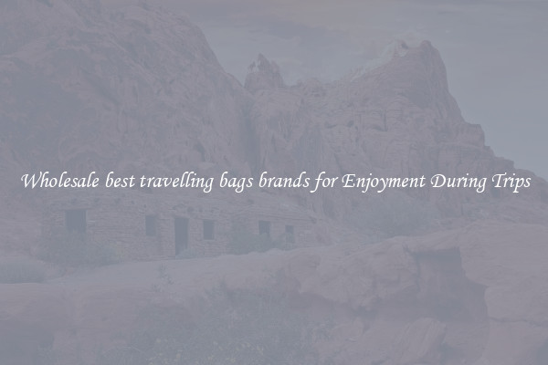 Wholesale best travelling bags brands for Enjoyment During Trips