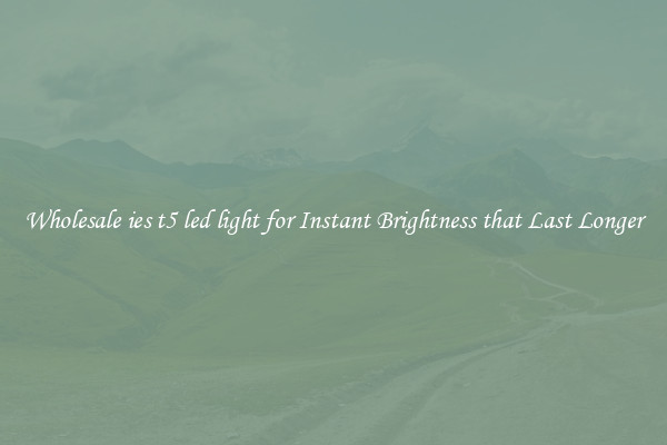 Wholesale ies t5 led light for Instant Brightness that Last Longer