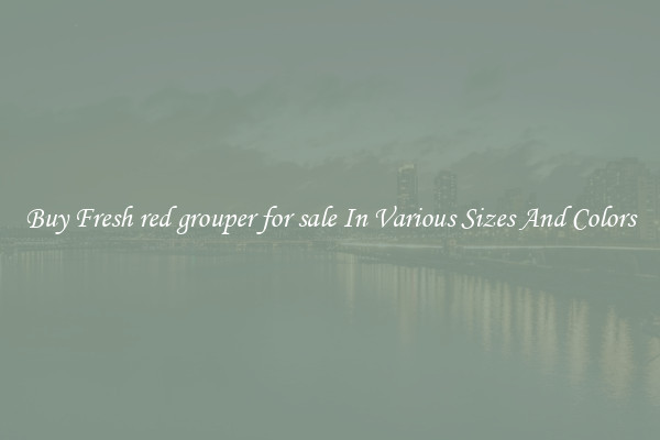 Buy Fresh red grouper for sale In Various Sizes And Colors