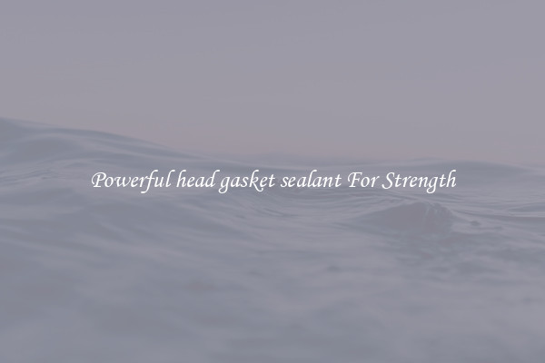 Powerful head gasket sealant For Strength