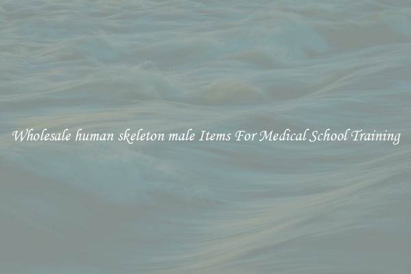 Wholesale human skeleton male Items For Medical School Training