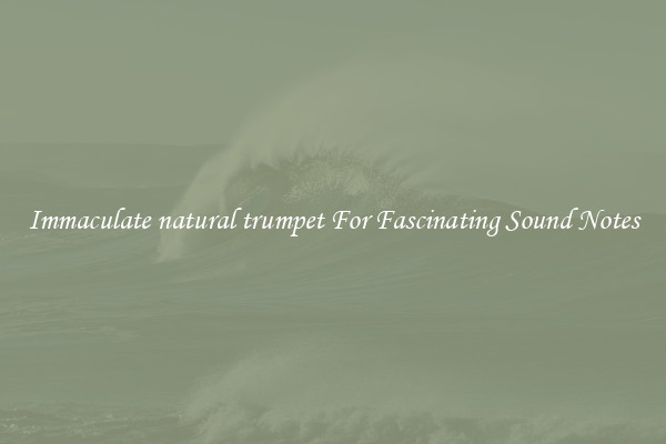 Immaculate natural trumpet For Fascinating Sound Notes