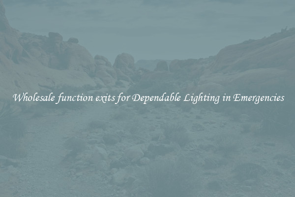 Wholesale function exits for Dependable Lighting in Emergencies
