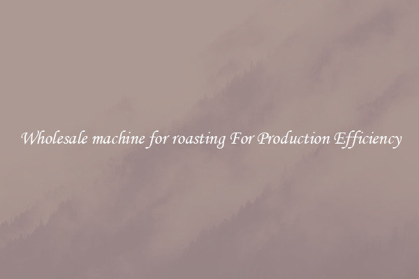 Wholesale machine for roasting For Production Efficiency
