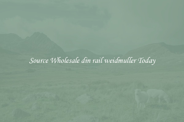 Source Wholesale din rail weidmuller Today