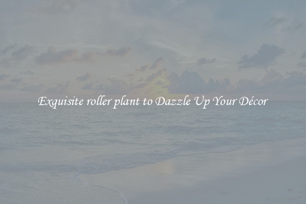 Exquisite roller plant to Dazzle Up Your Décor 